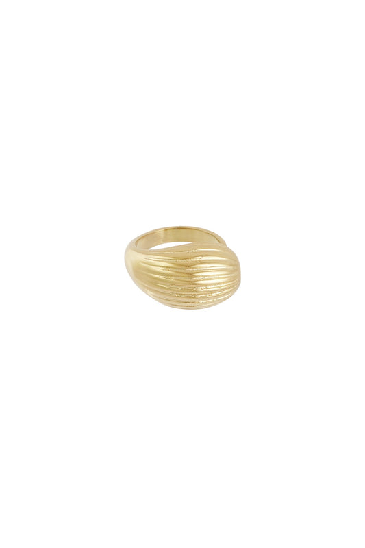 Dynamic texture ring-Goud